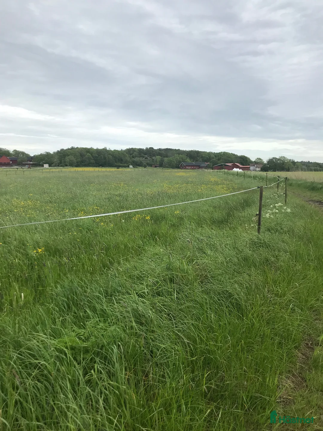  stallplats finnes: Boxplatser i Säve i Säve - Annons 2