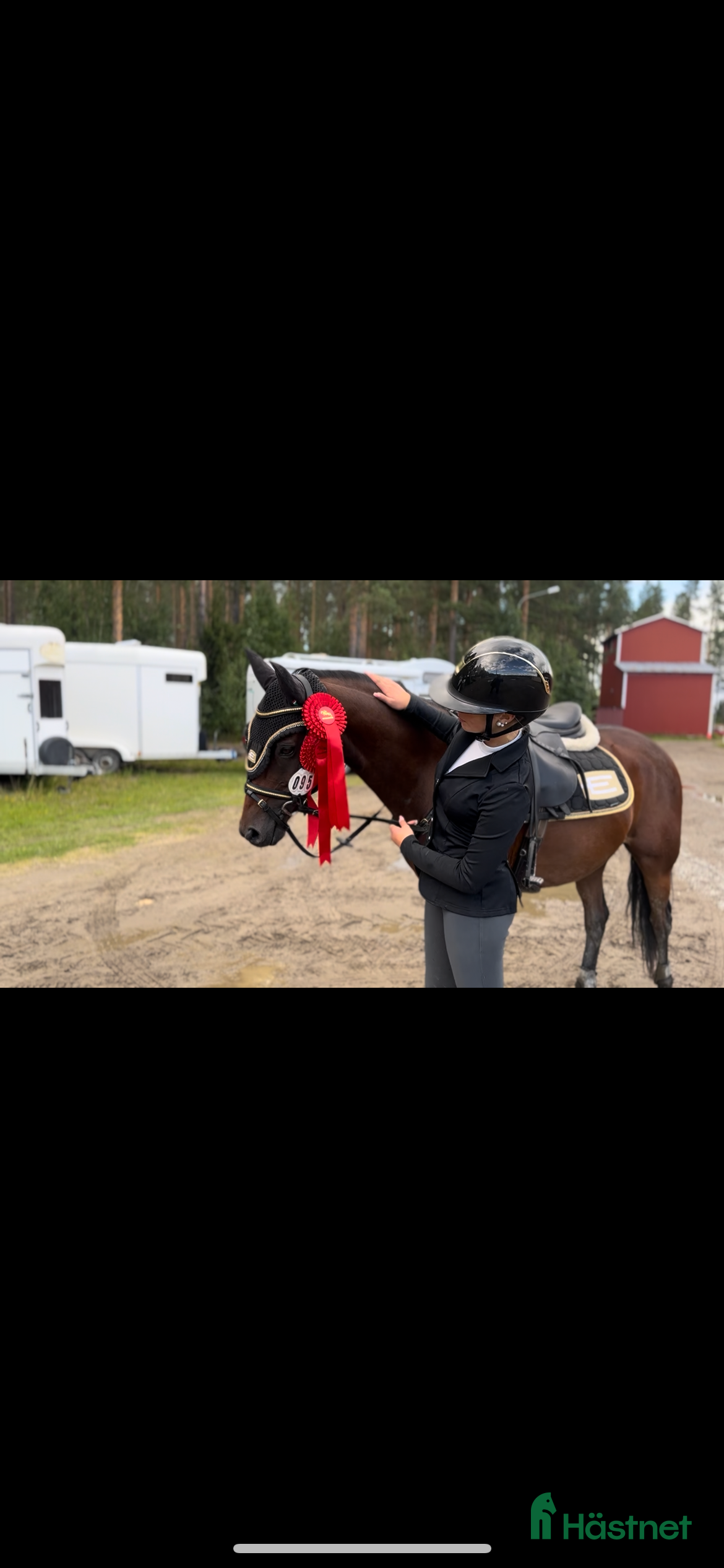 Schabrak & Vojlockar hästutrustning till salu: Equiline set till salu! i Vindeln - Annons 2