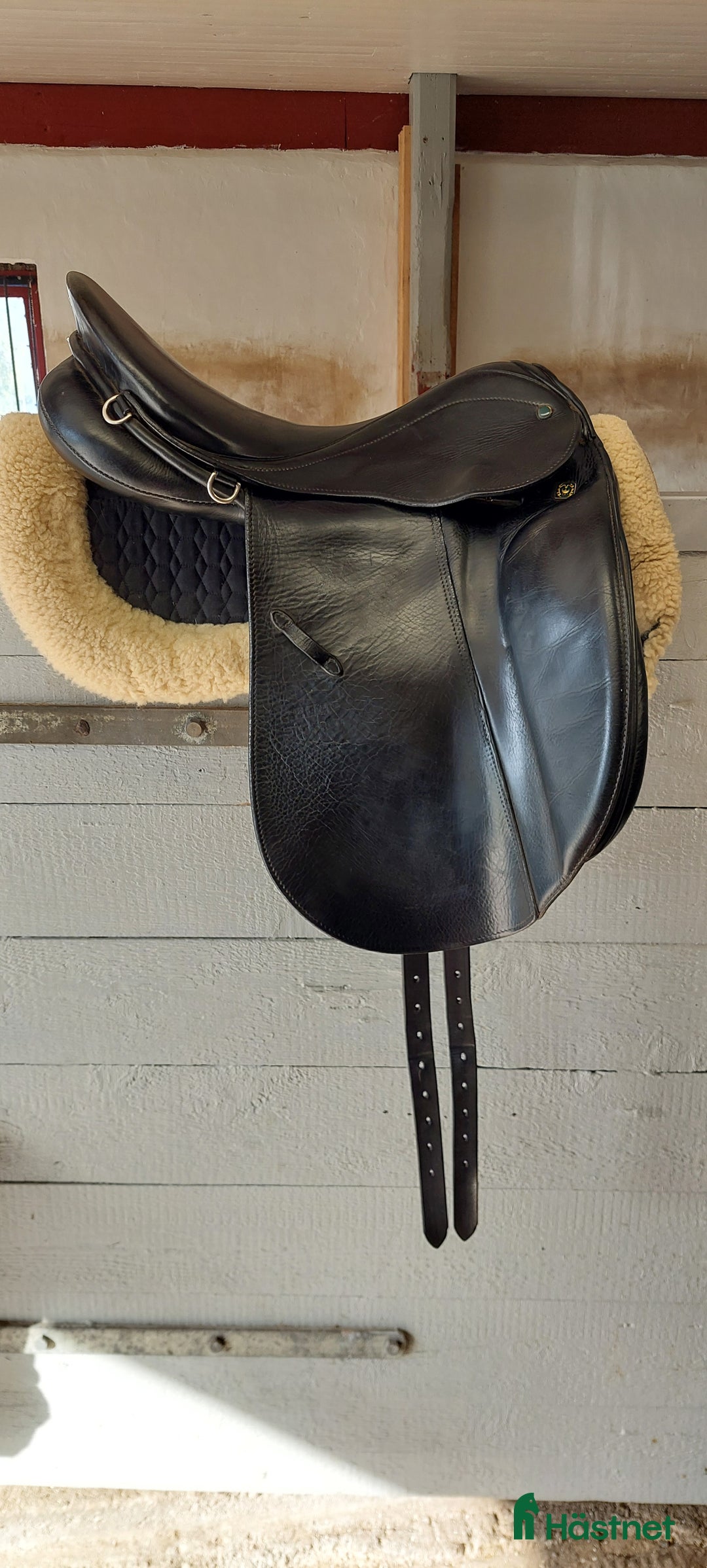 Sadlar hästutrustning till salu: Stubben Dressyr i Frändefors - Annons 5