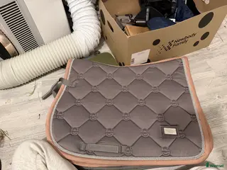 Schabrak & Vojlockar hästutrustning till salu: Es schabrak i Västerås - Annons 1