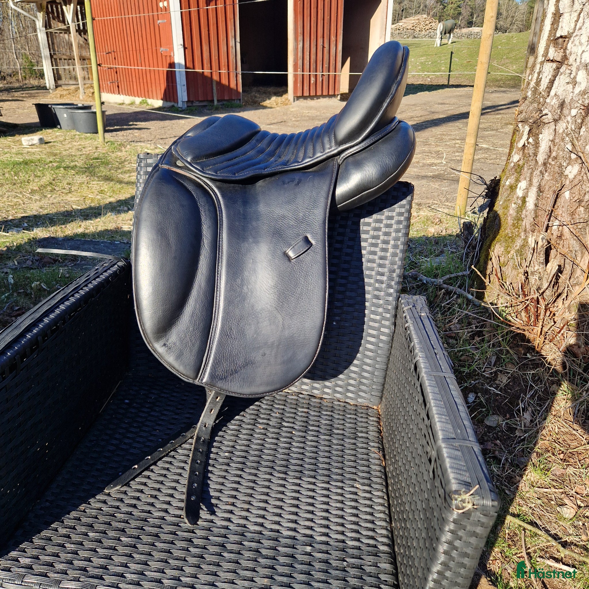 Sadlar hästutrustning Maxflex Fado  - Annons 3