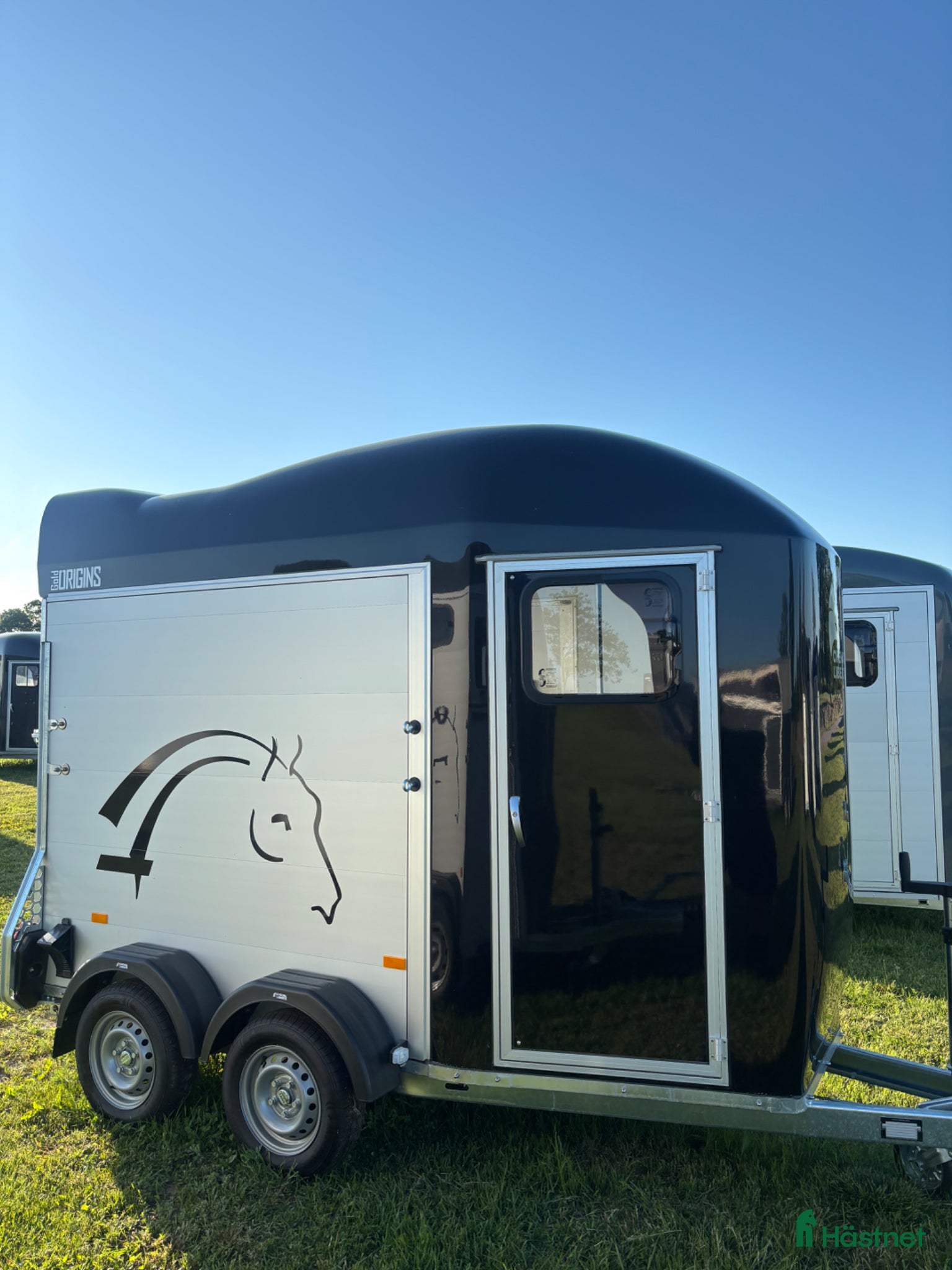 Hästtransporter  fordon & transport till salu: Cheval Gold Origins One  - Annons 1