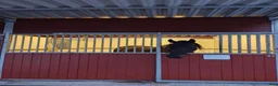  stallplats finnes: Stallplats i Österhaninge  - Annons 1
