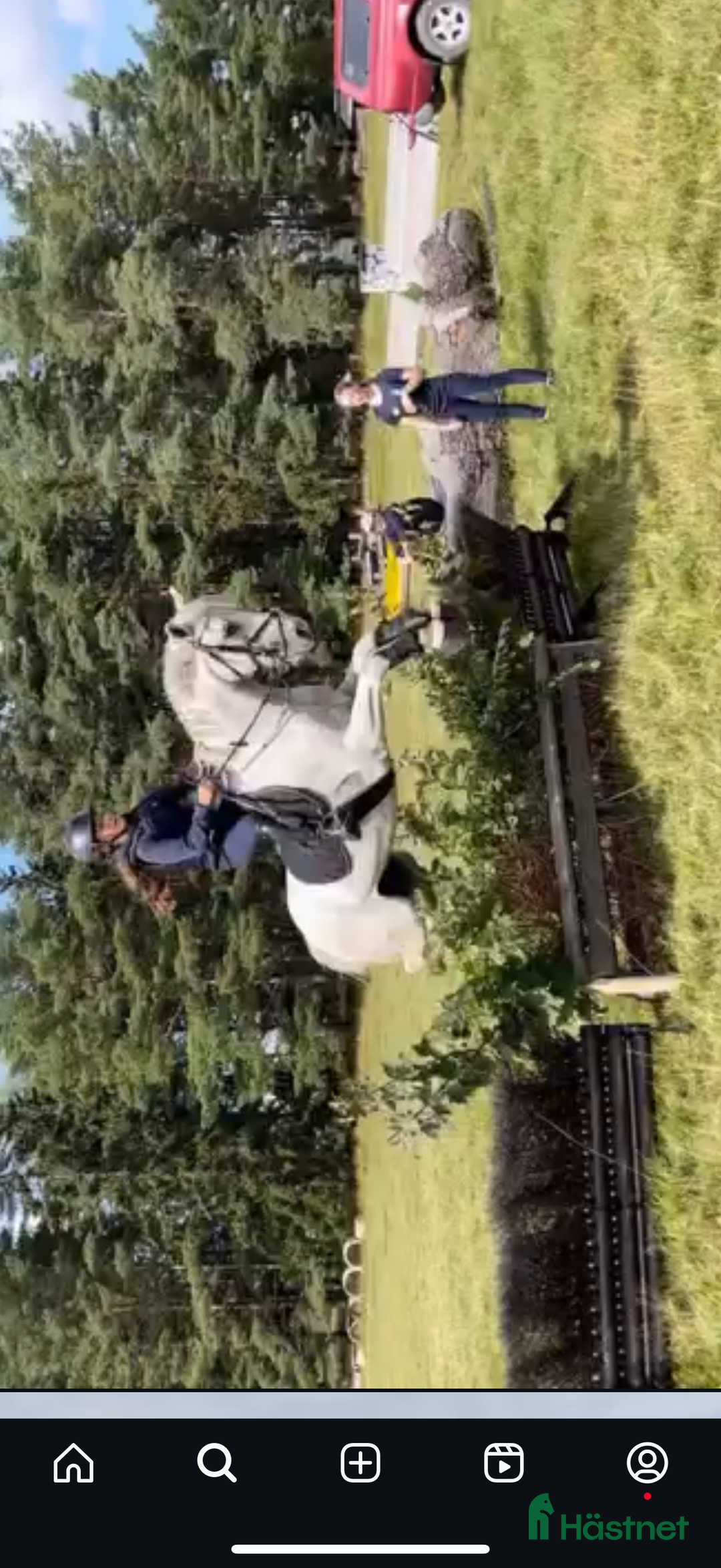 Dressyr hästar till salu: Drömponny för den lilla ryttaren i Norrköping - Annons 5