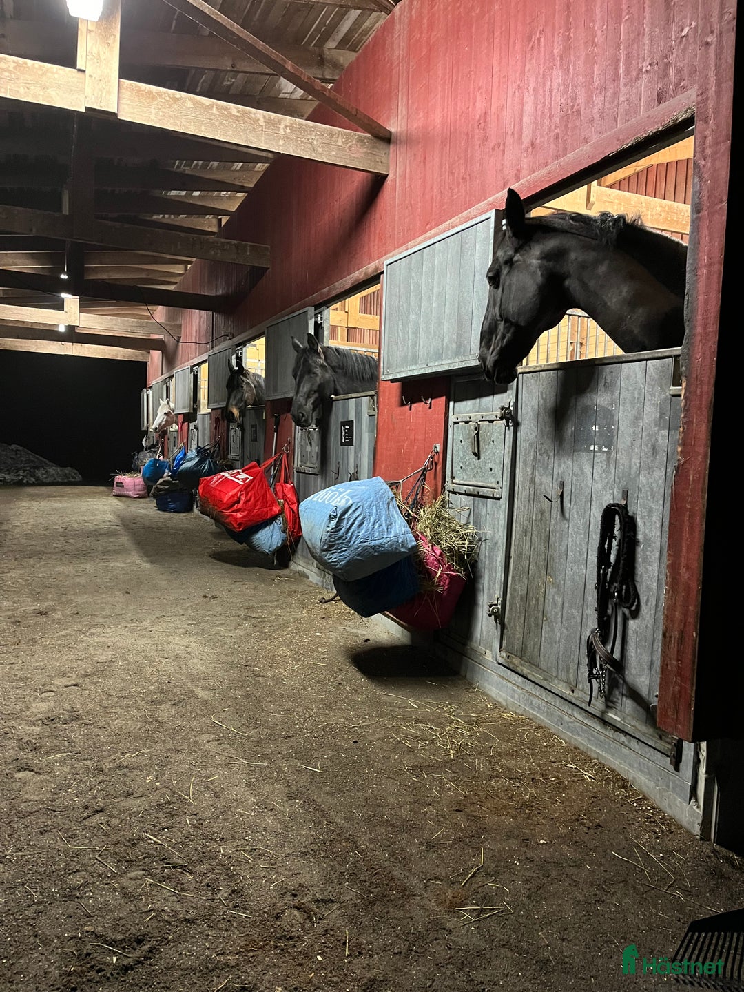  stallplats finnes: Sto sökes till hästvänligt stall med ridhus i Vallentuna - Annons 1
