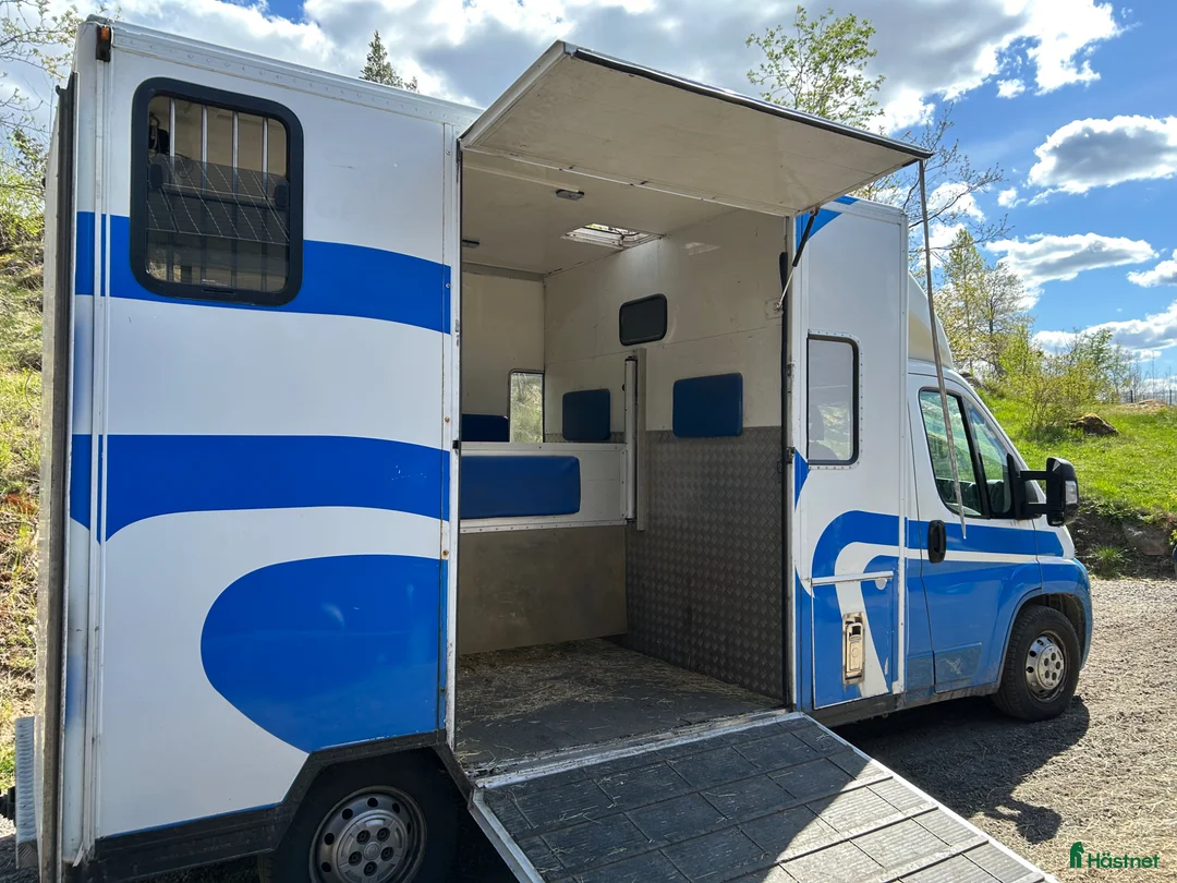 Hästlastbilar  fordon & transport till salu: Fiat Ducato -07 - Annons 2