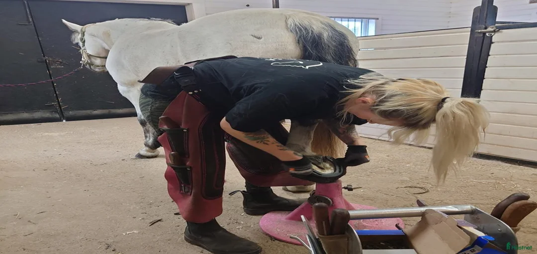 Galleribild {{count}}