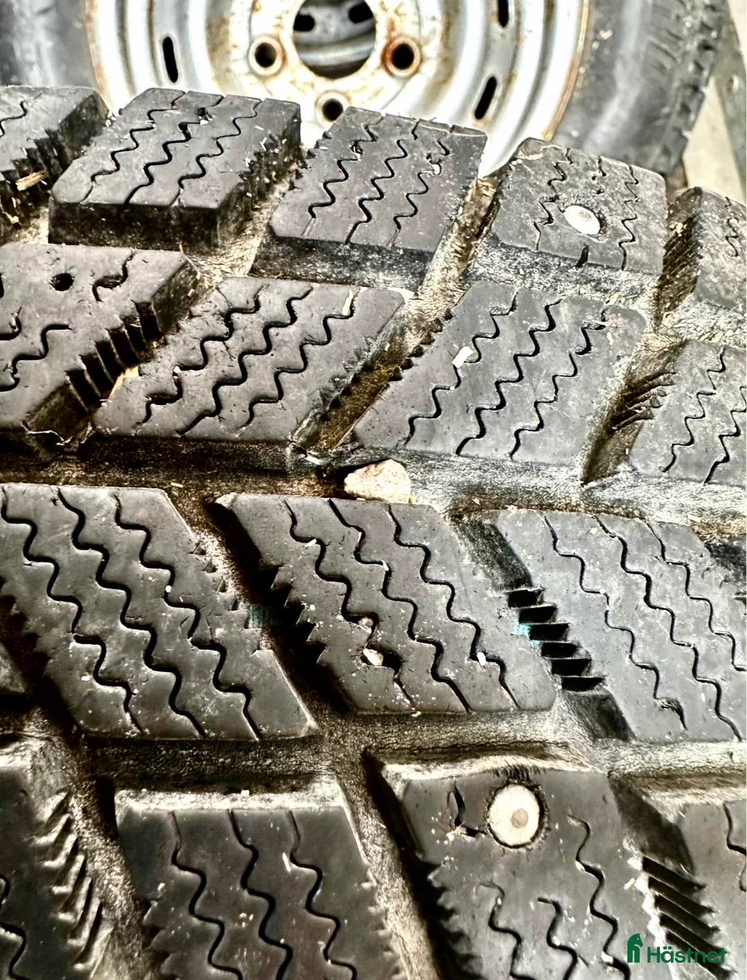 Hästtransporter  fordon & transport till salu: Kalasfint BOJ släp säljes - Annons 10