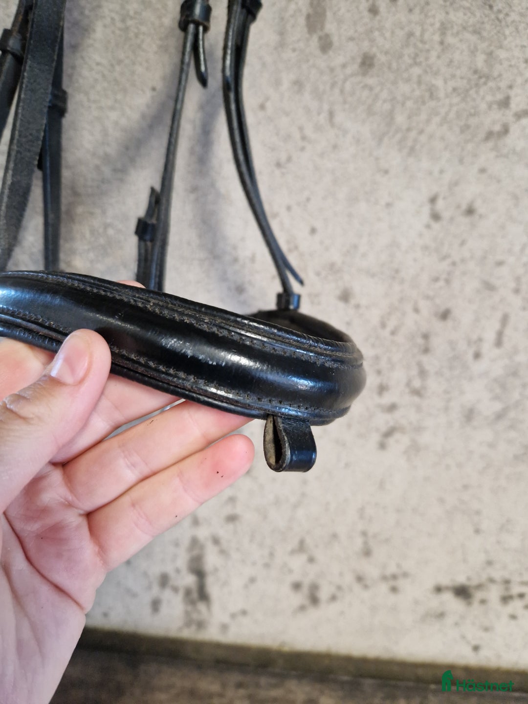 Övrig Hästutrustning hästutrustning till salu: Hästutrusning i Motala - Annons 7