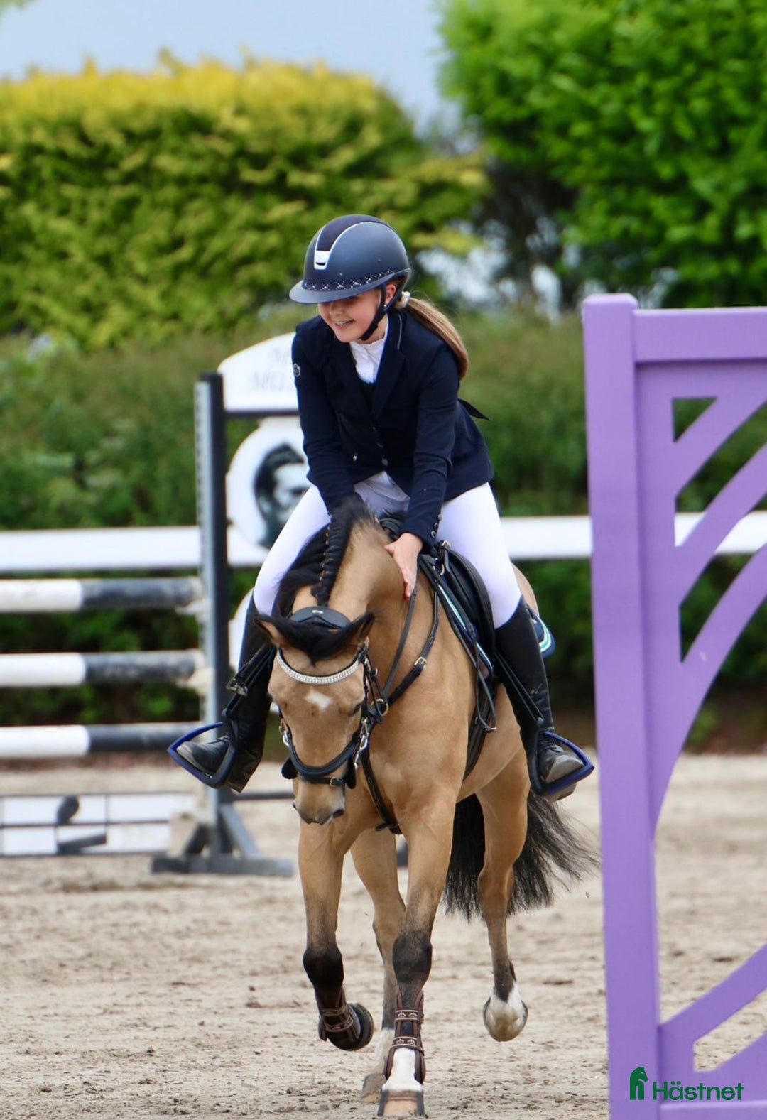 Hoppning hästar till salu: 13yr old TOP 128cm pony!!! i Stockholm - Annons 3