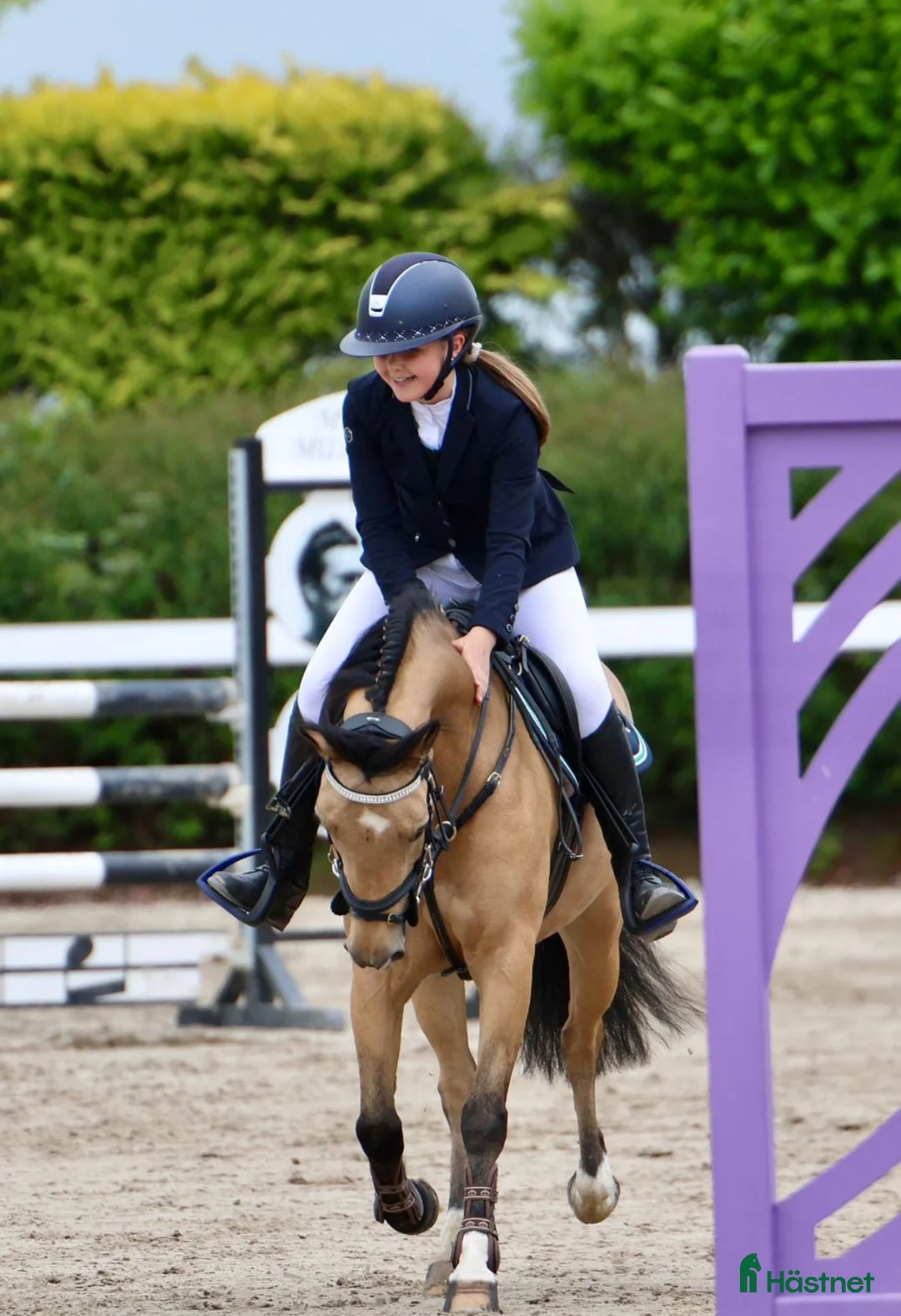 Hoppning hästar till salu: 13yr old TOP 128cm pony!!! i Stockholm - Annons 3