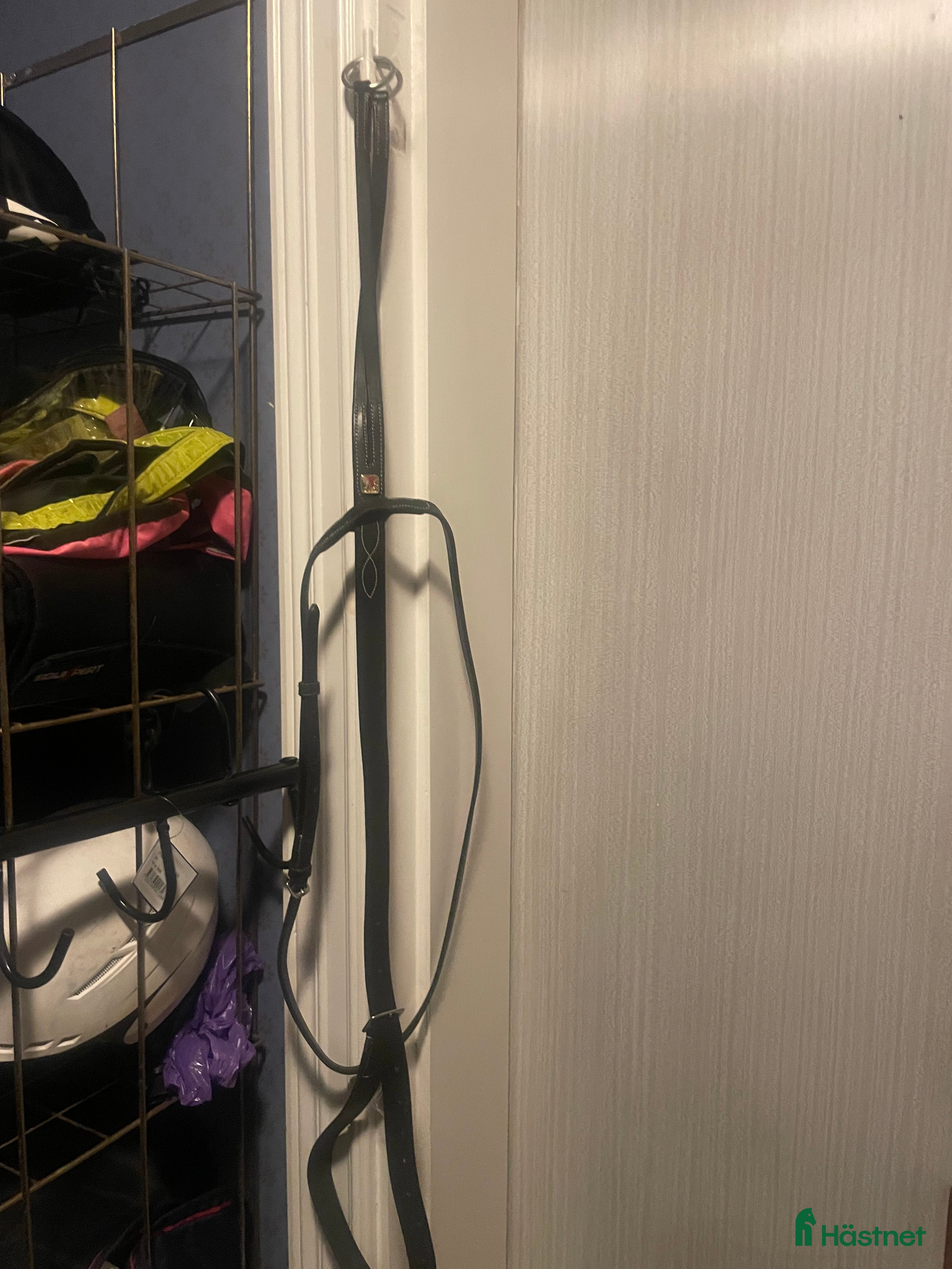 Övrig Hästutrustning hästutrustning till salu: Oanvänd martingal  i Gävle - Annons 19