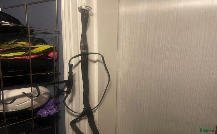 Övrig Hästutrustning hästutrustning till salu i Gävle - Annons 18