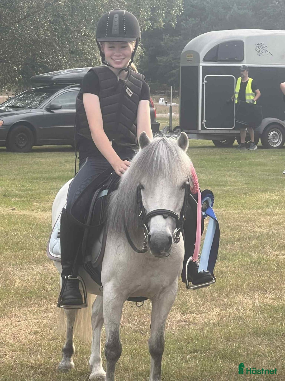 Allround hästar till salu: FANTASTISKT SÖTA OCH SNÄLLA i Sölvesborg - Annons 2