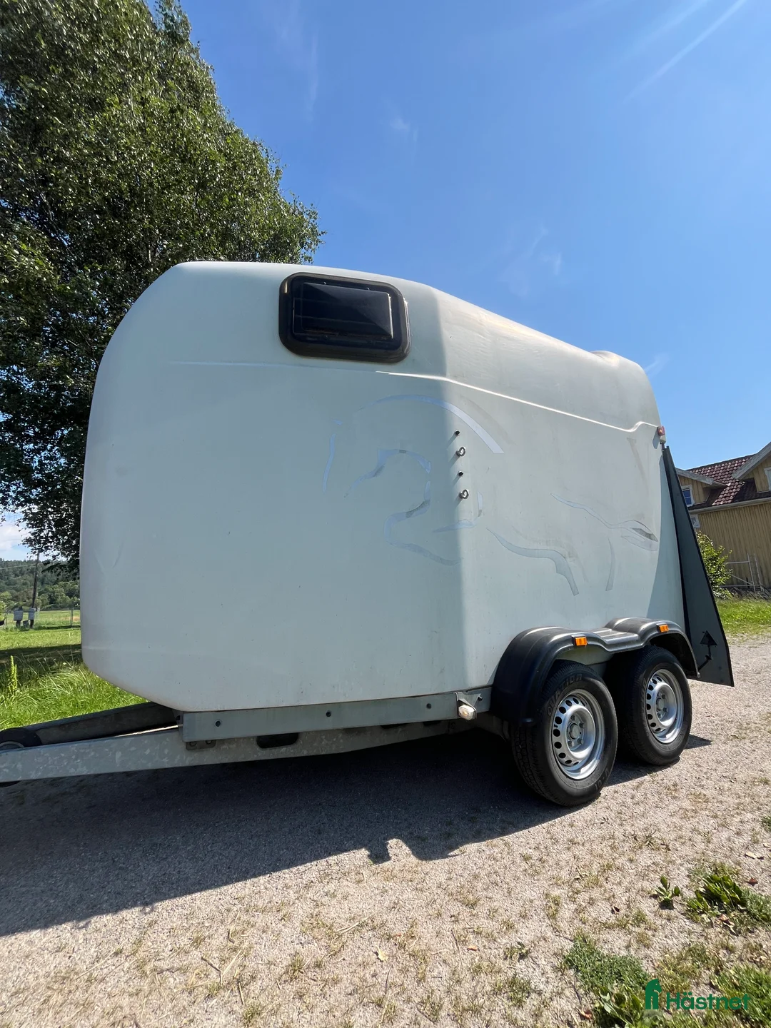 Hästtransporter  fordon & transport till salu: 630kg lastvikt B-kort nyrenoverad extra rymlig  i Nygård - Annons 1