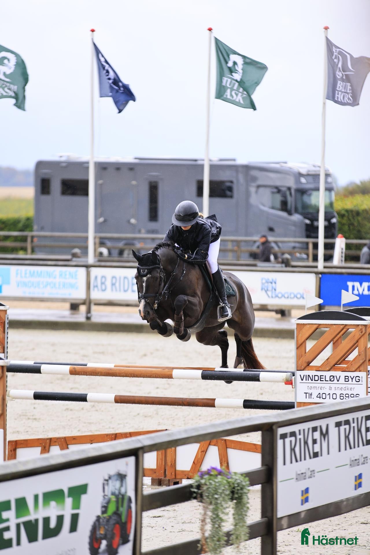  hästar Danish Champion for 6-year-old horses! 🏆  - Annons 2