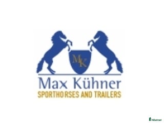 hästjobb Showgroom sökes till hoppstall i Vallberga - Annons 4