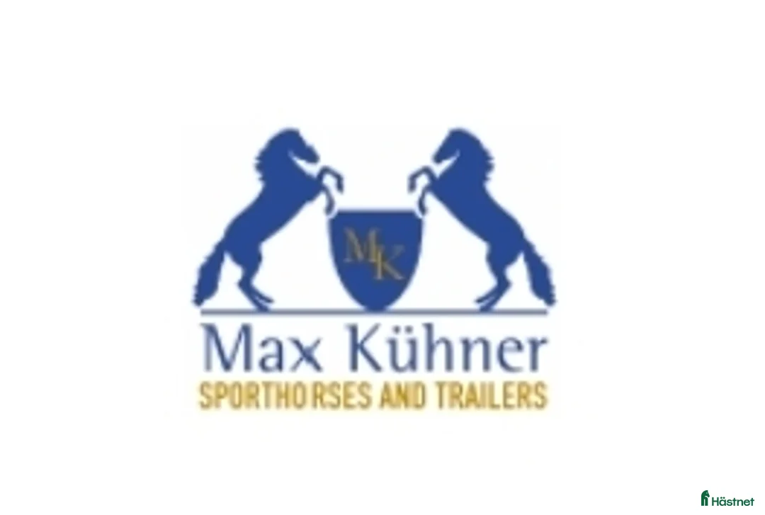  hästjobb finnes: Showgroom sökes till hoppstall i Vallberga - Annons 1