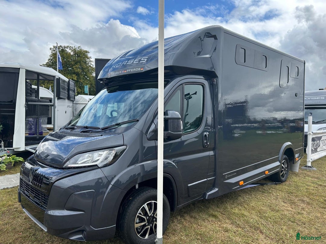 Hästlastbilar  fordon & transport till salu: Equi-Trek Ikonik lastar 1000 kg  i Teckomatorp - Annons 5