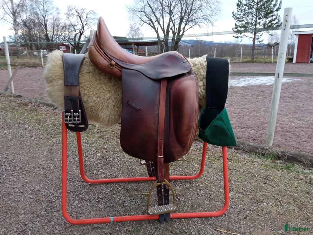 Sadlar hästutrustning till salu: Dominus dressyrsadel - Annons 2
