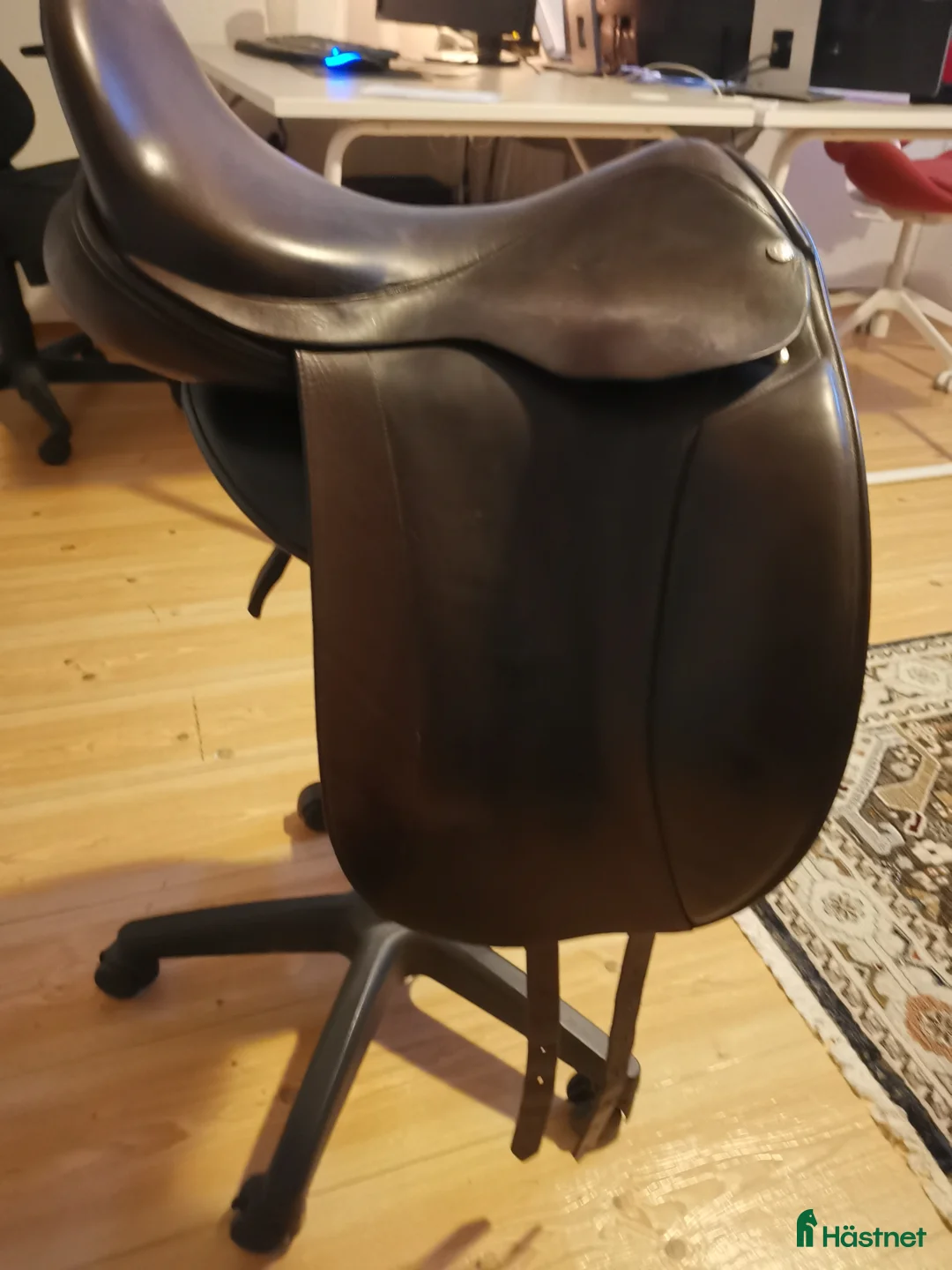 Sadlar hästutrustning till salu: Frank Baines i Norrköping - Annons 2