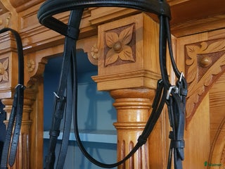 Träns hästutrustning till salu: Svarta träns och nosgrimma ponny i Söråker - Annons 21