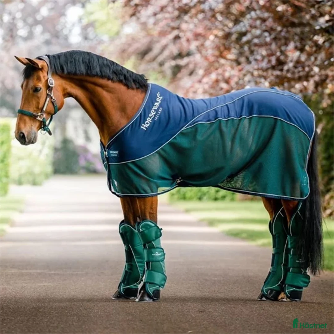 Täcken hästutrustning till salu: Horseware sport cooler - Annons 1