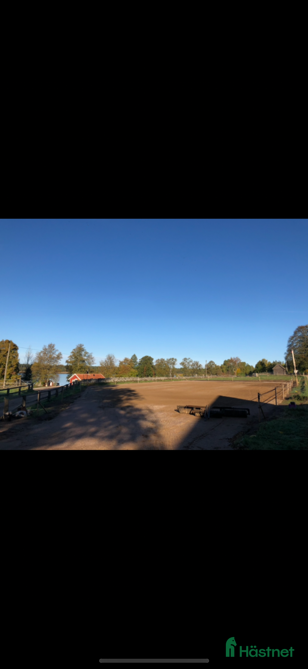  stallplats finnes: Lösdriftsplatser finnes  i Linneryd - Annons 3