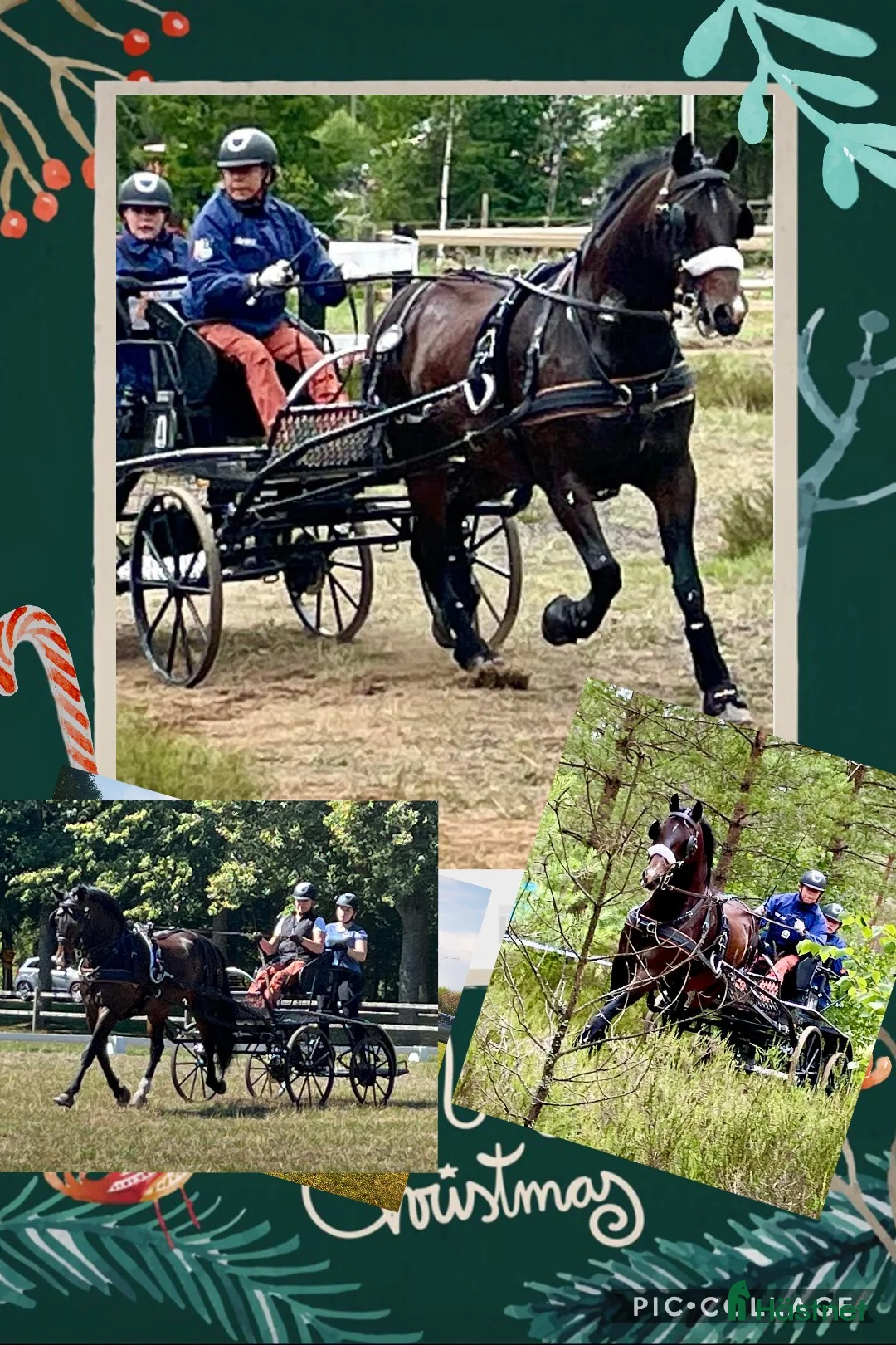 Körning hästar till salu: Sportkörning/Ridning i Simlångsdalen - Annons 8