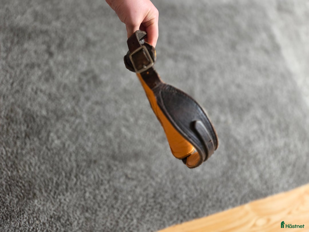 Övrig Hästutrustning hästutrustning till salu: Blandat med hästsaker säljes i Ösmo - Annons 6