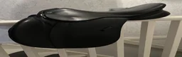 Sadlar hästutrustning till salu: Hoppsadel 16,5” - Annons 1
