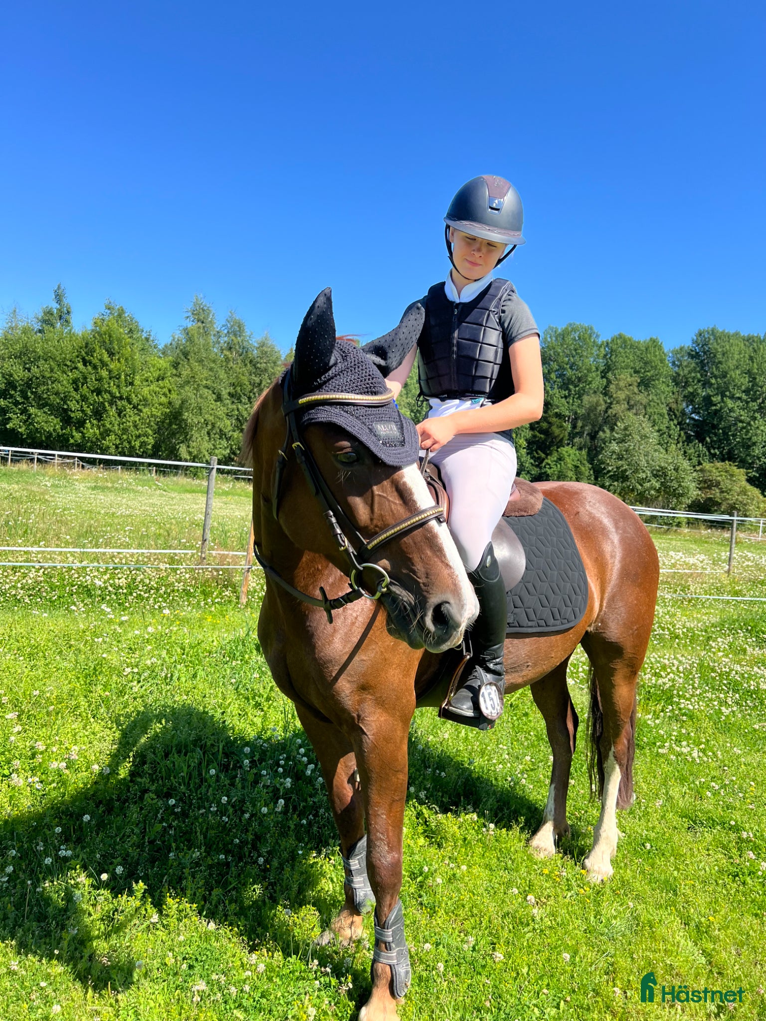  hästar Världens snällaste allround ponnyn - Annons 16