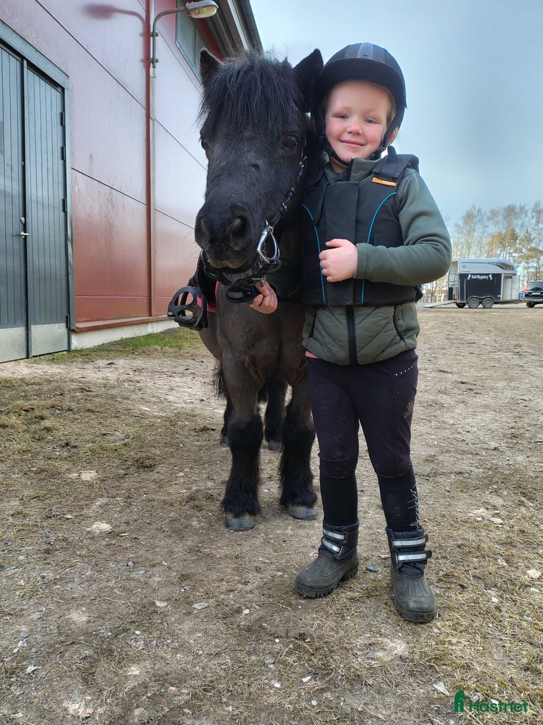 Allround hästar till salu: Underbar shetlandsponny  i Skara - Annons 7