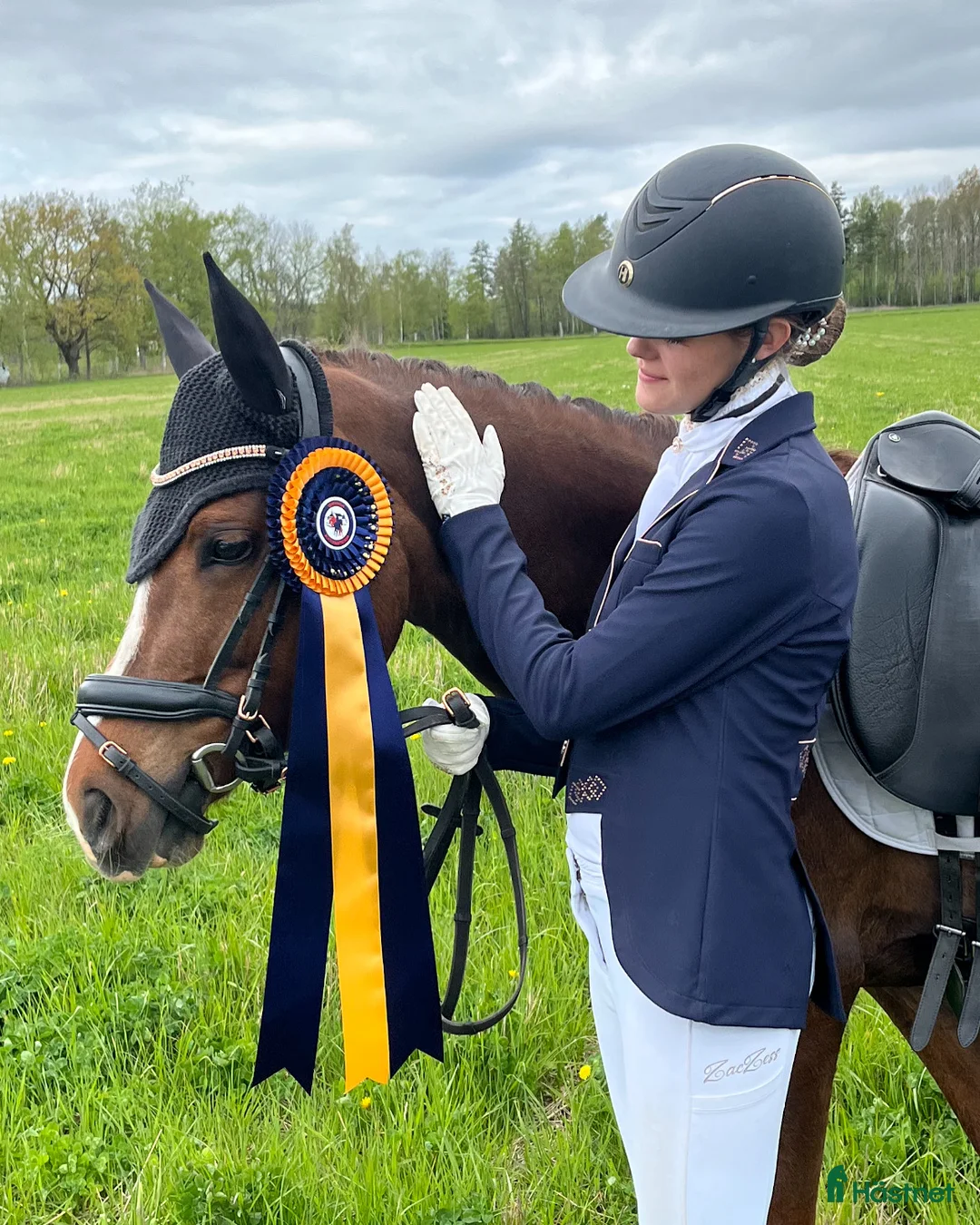 Dressyr hästar till salu: Dressyrponny med utstrålning - Annons 6