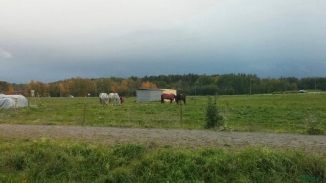  stallplats Stallplats i Gamleby - Annons 22