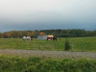 stallplats Stallplats i Gamleby - Annons 15