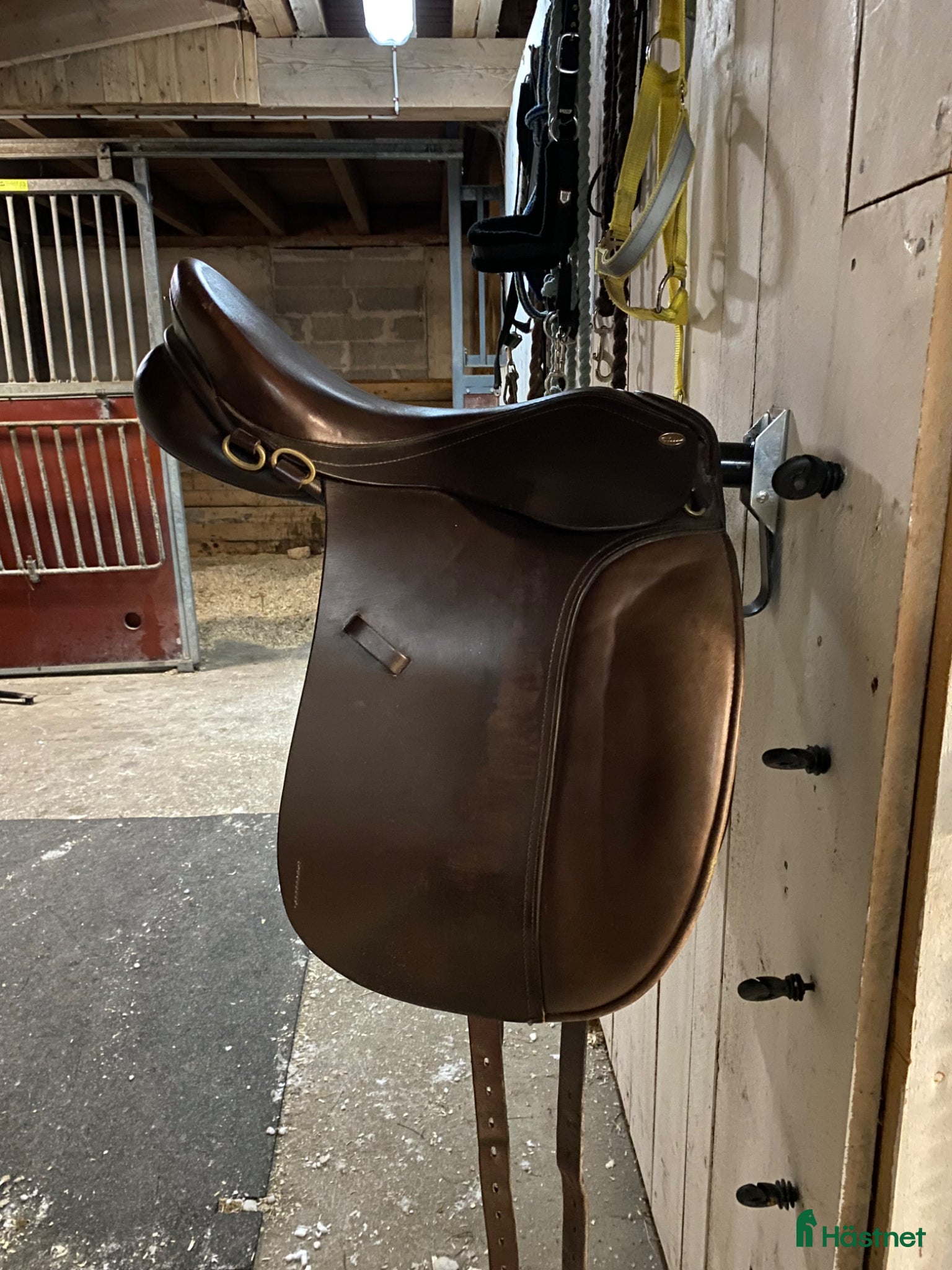 Sadlar hästutrustning Globus Gloi - Annons 4