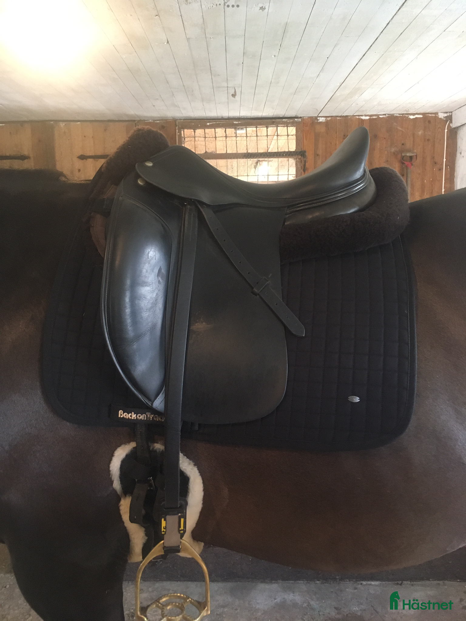 Sadlar hästutrustning till salu: Amerigo Classic i Hörby - Annons 16