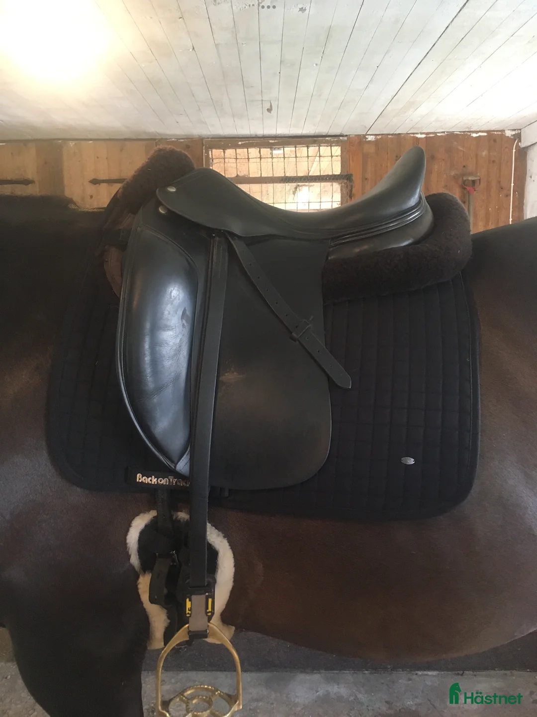 Sadlar hästutrustning till salu: Amerigo Classic i Hörby - Annons 1