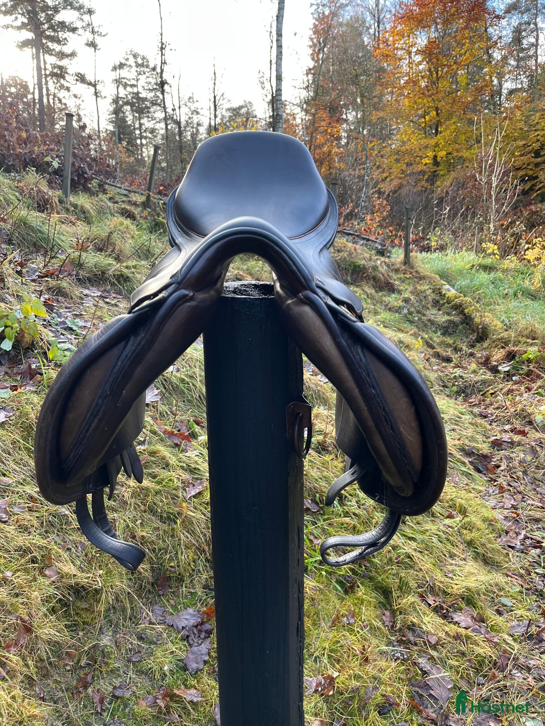 Sadlar hästutrustning till salu: Pessoa Hoppsadel  i Landvetter - Annons 4