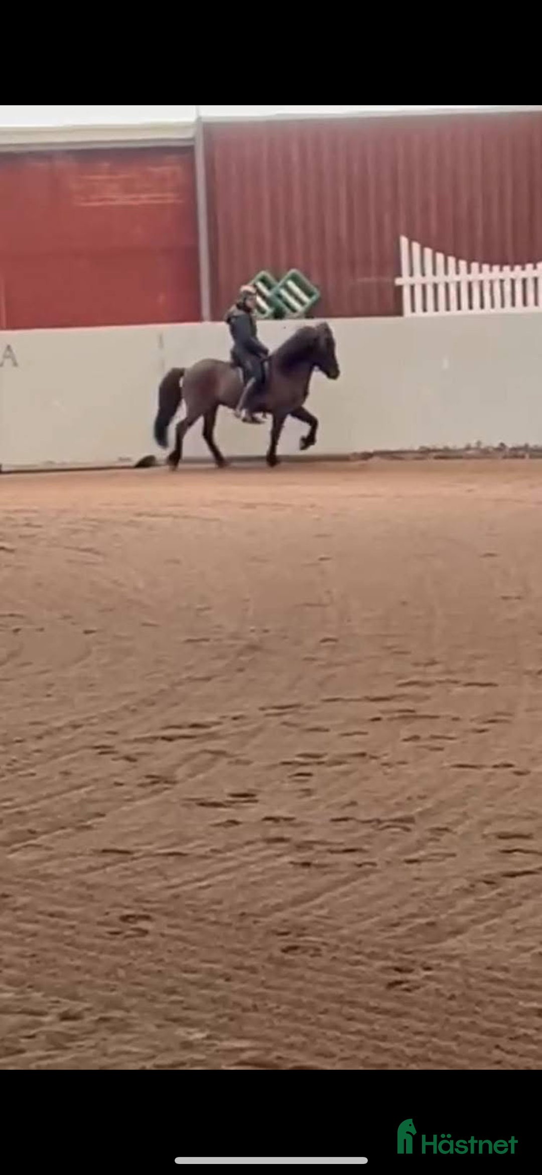  hästservice finnes: Lektioner/lämna häst på träning i Åkersberga - Annons 1