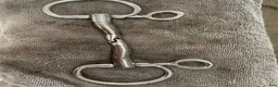 Bett hästutrustning till salu: Baucher bett fager 12,5 godkänd för tävling  - Annons 2