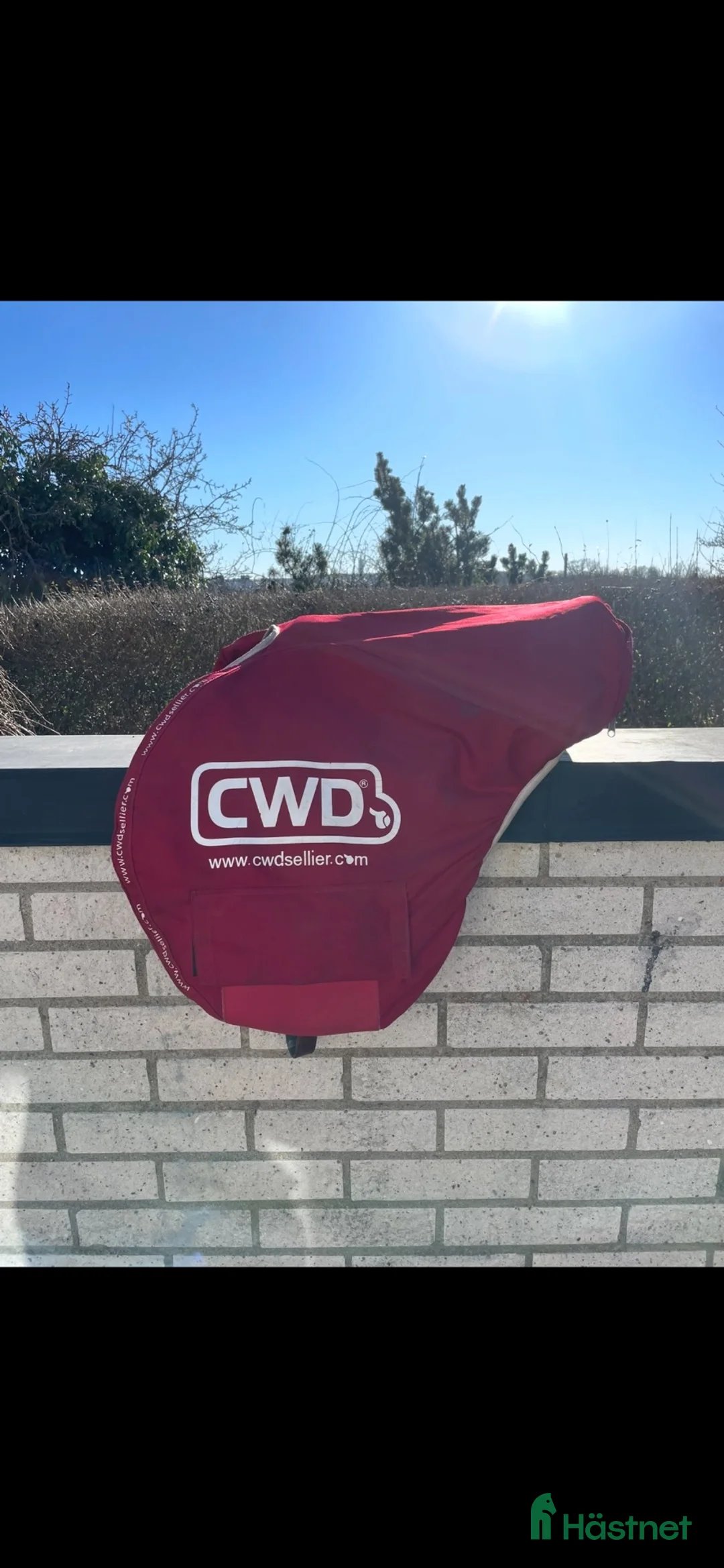 Sadlar hästutrustning till salu: CWD sadel i Karlskrona - Annons 2