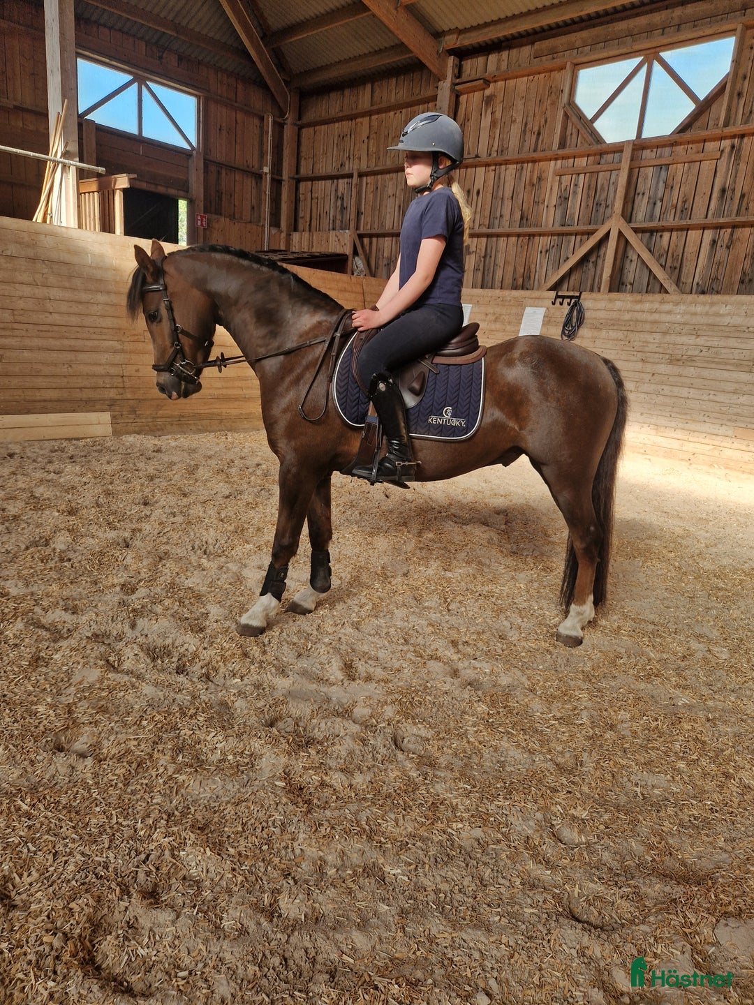 Allround hästar till salu: Fantastisk ponny letar efter sin ryttare i Ödeshög - Annons 2