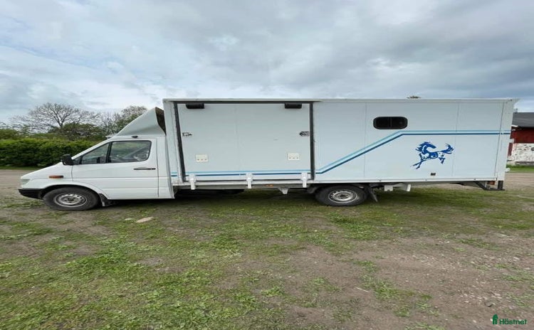 Hästlastbilar  fordon & transport till salu i Luleå - Annons 16