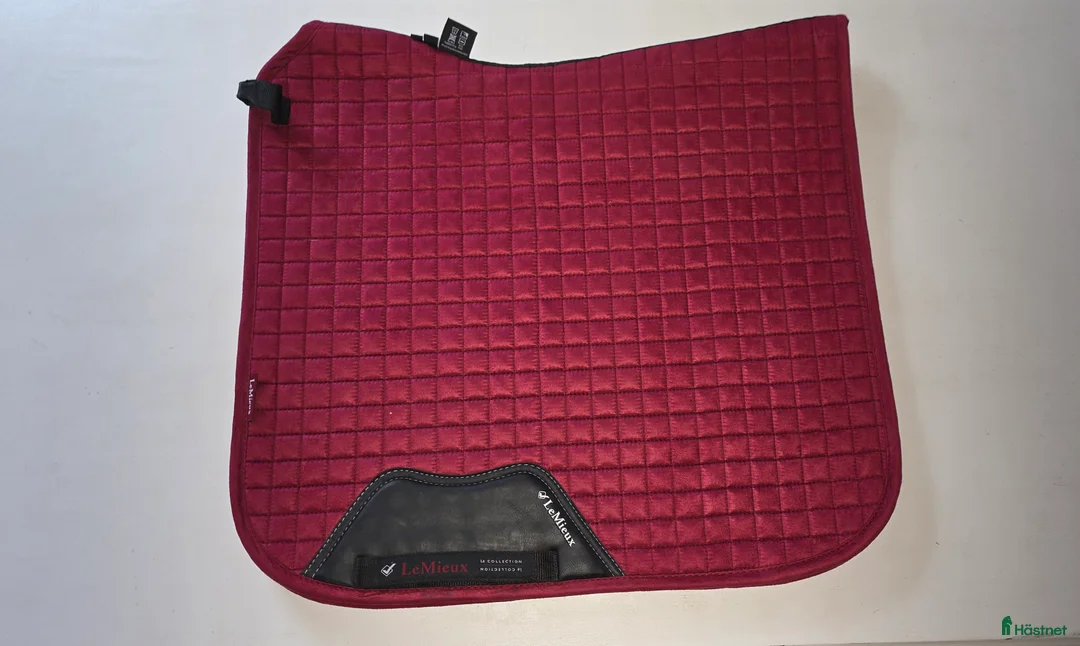 Schabrak & Vojlockar hästutrustning till salu: Lemieux dressyrschabrak i Vadstena - Annons 1