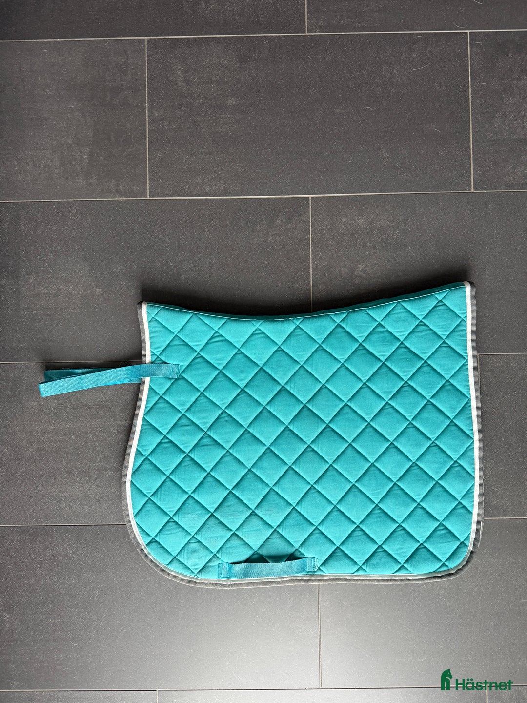 Schabrak & Vojlockar hästutrustning till salu: Hoppschabrak i Trelleborg - Annons 1