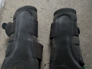 Benskydd hästutrustning till salu: Fina eskadron damasker i Norrtälje - Annons 17