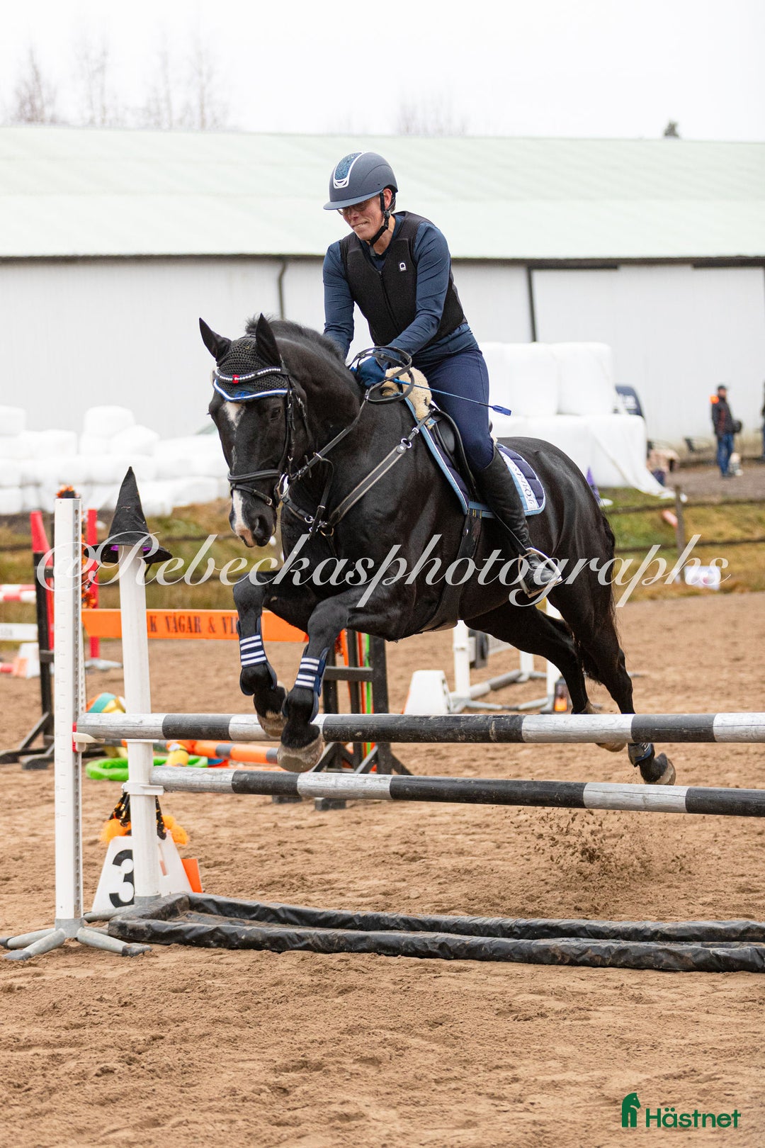 Allround hästar till salu: Sportig allround valack  i Göteborg - Annons 4