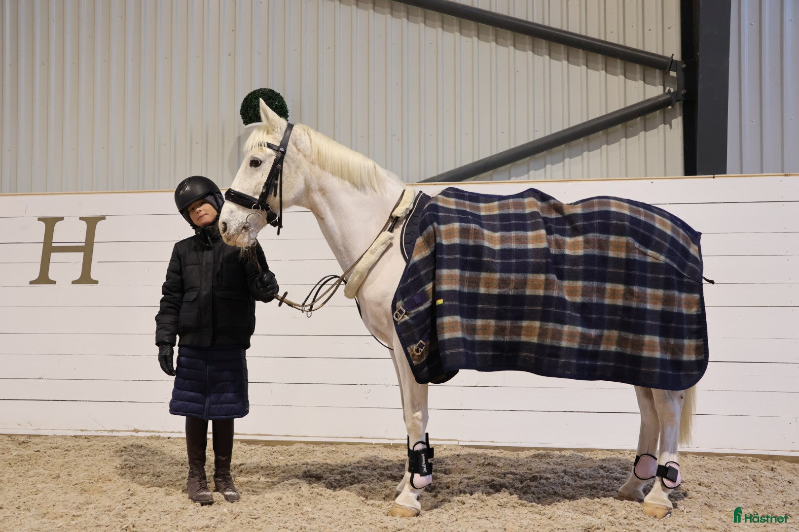  hästar LÄROMÄSTARE HOPPNING ✨️🦄 i Lindesberg - Annons 14